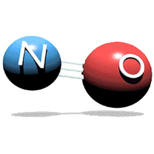 Kväveoxid - molekyl, bildas från nitrat i rödbetsjuice.