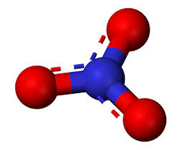 Nitratjon. Rödbetor innehåller nitrat som omvandlas till kväveoxid.