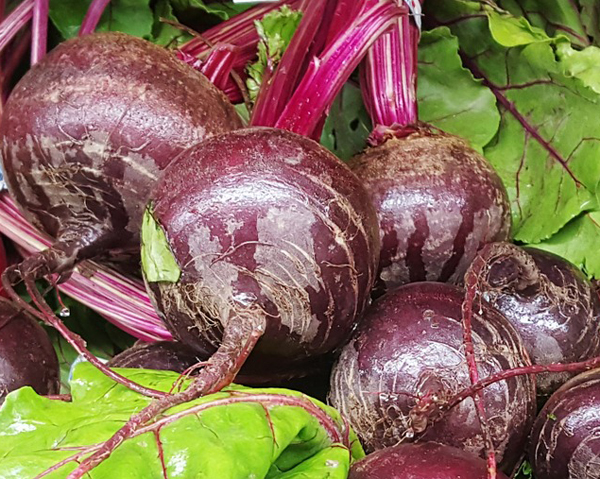 Ett knippe rödbetor - nitrater, folat, kalium och antioxidanter i rödbetor för bättre hälsa och prestationsförmåga.